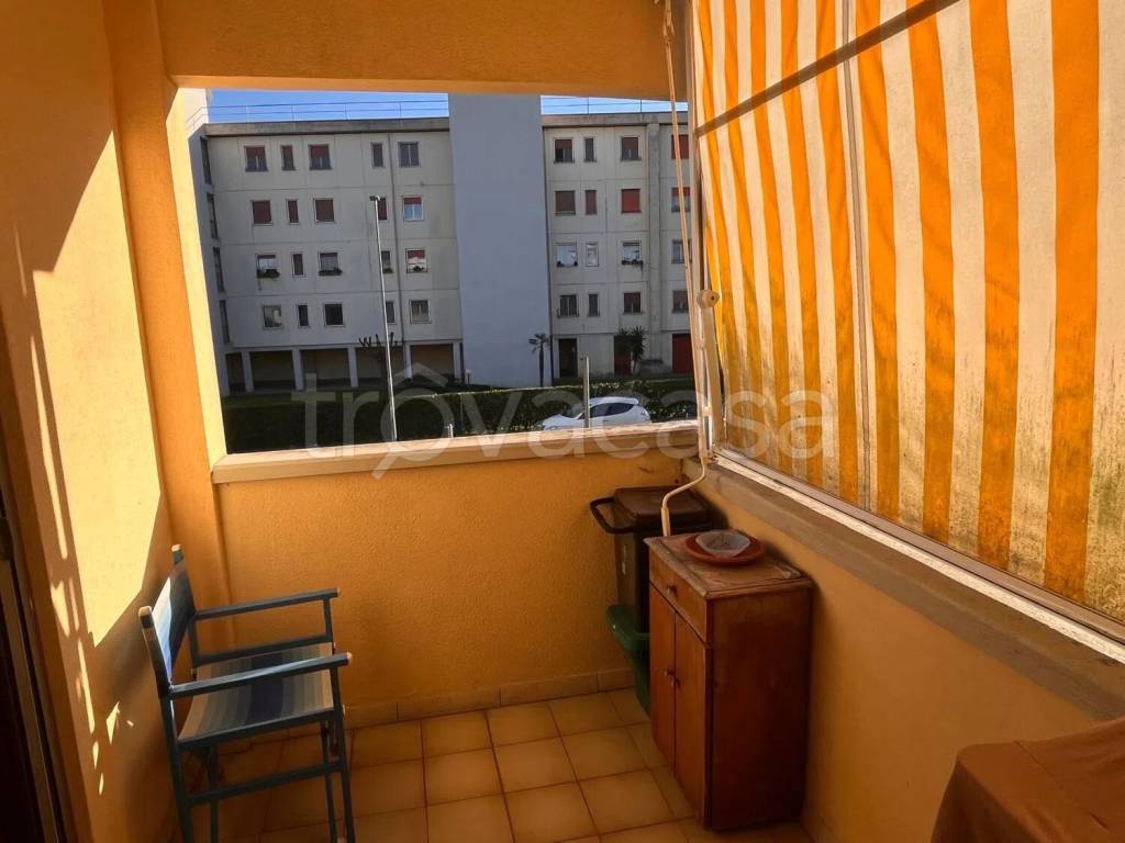 immagine annuncio 6 di 12