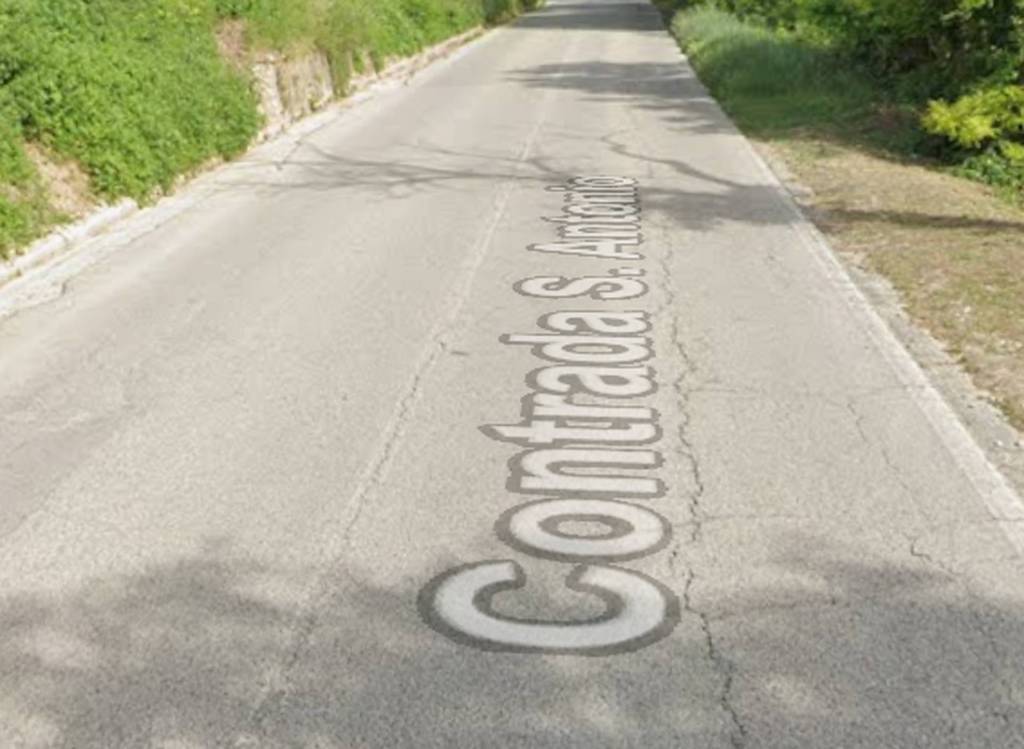 immagine annuncio 9 di 14