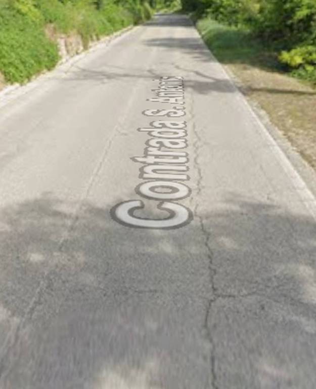 immagine annuncio 12 di 14