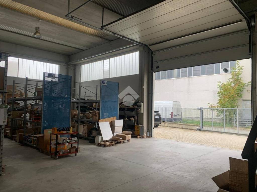 immagine annuncio 6 di 15