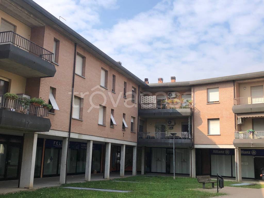 immagine annuncio 1 di 15