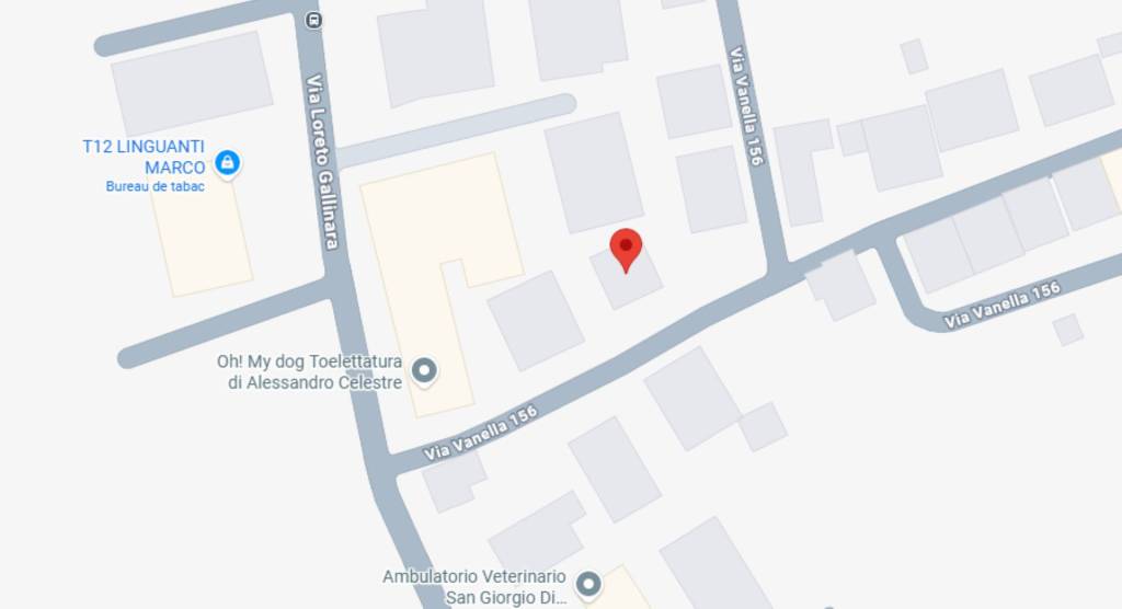 immagine annuncio 6 di 11