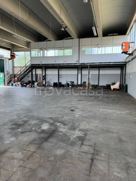 immagine annuncio 2 di 15