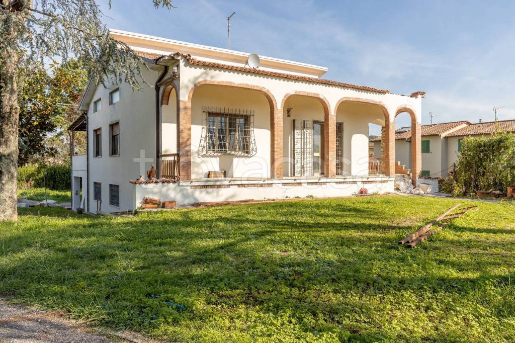 immagine annuncio 9 di 11