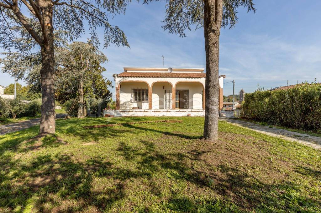 immagine annuncio 10 di 11