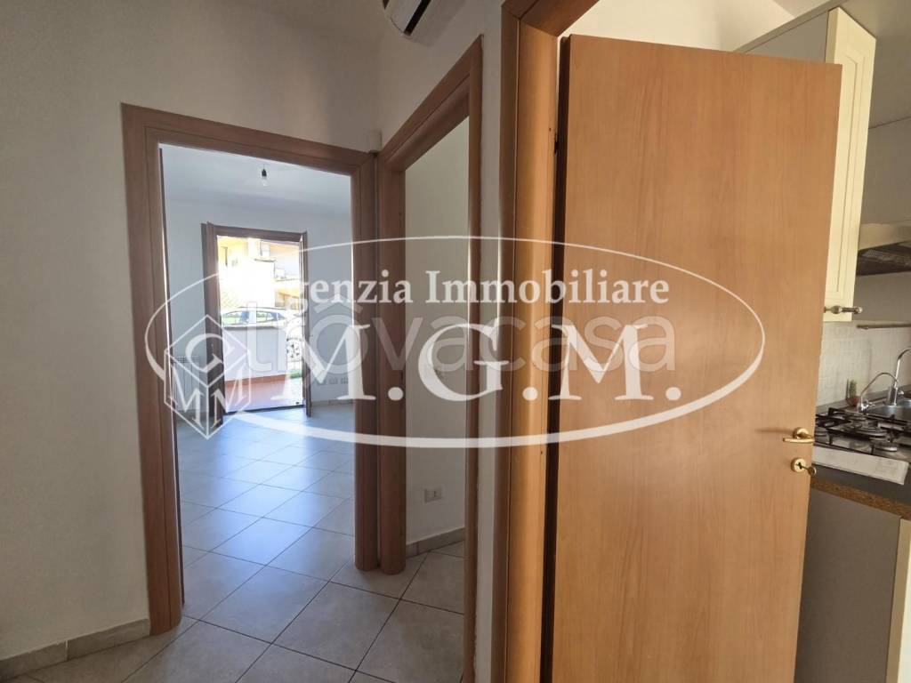 immagine annuncio 5 di 12