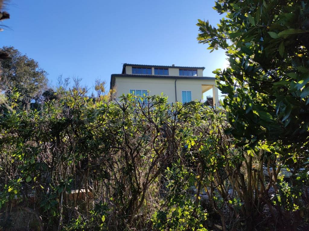 immagine annuncio 4 di 12