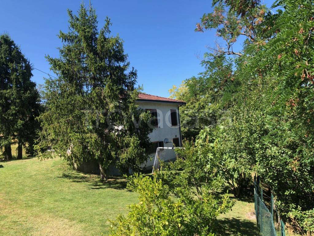 immagine annuncio 5 di 8