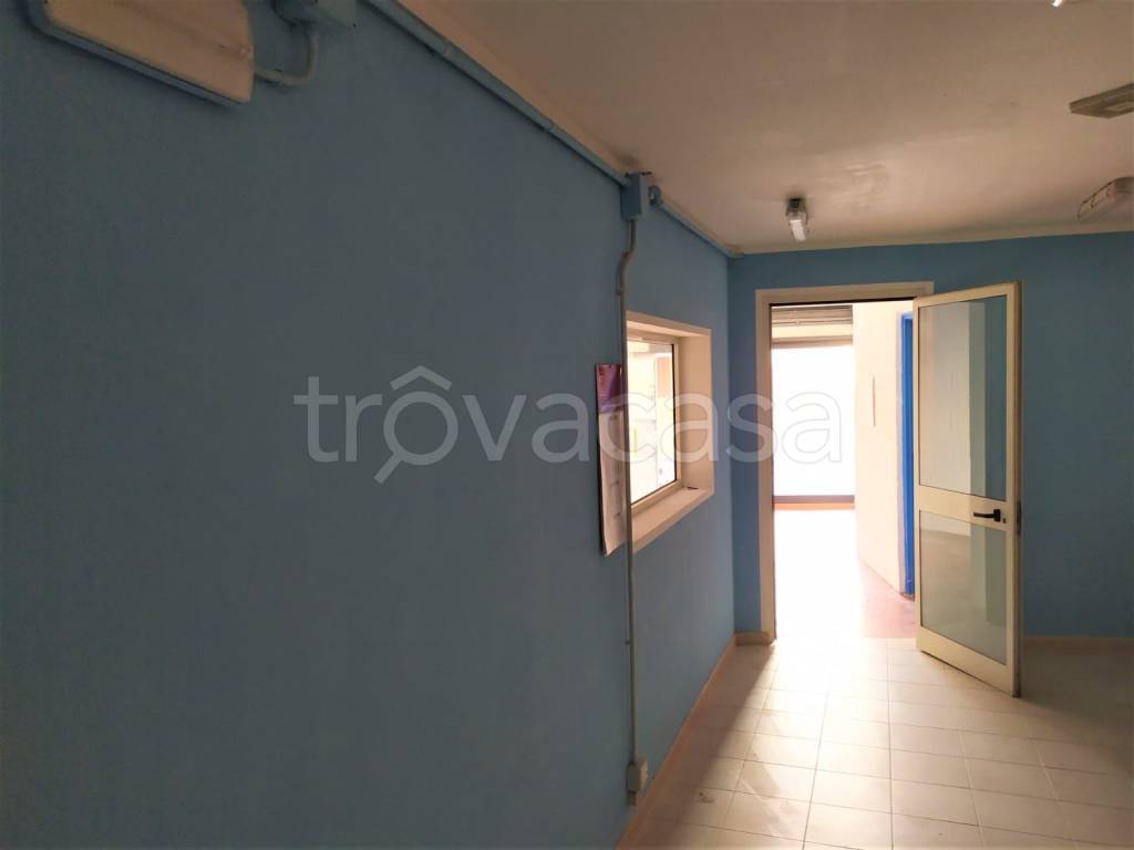 immagine annuncio 6 di 12