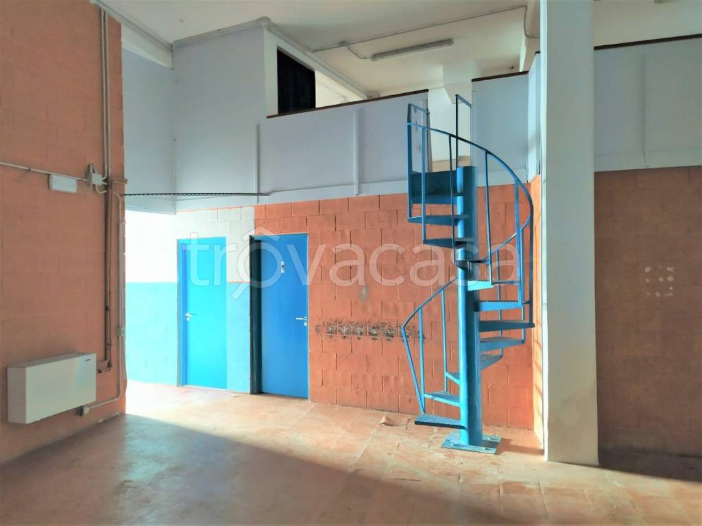 immagine annuncio 5 di 12