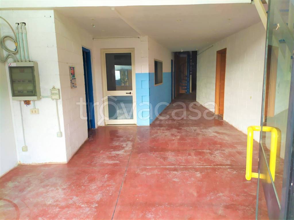 immagine annuncio 4 di 12