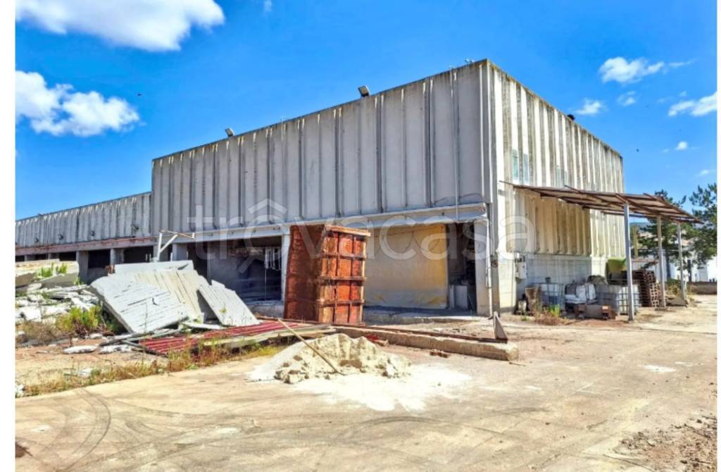 immagine annuncio 2 di 13