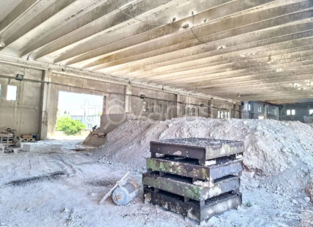 immagine annuncio 6 di 13