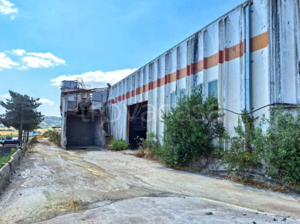 immagine annuncio 9 di 13