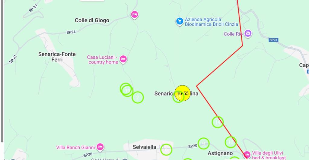 immagine annuncio 14 di 15