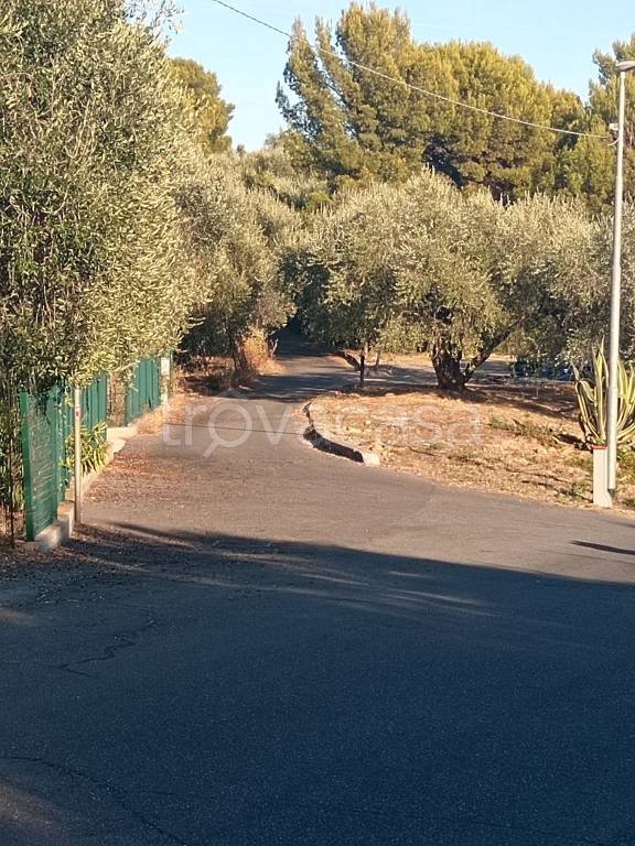 immagine annuncio 4 di 9