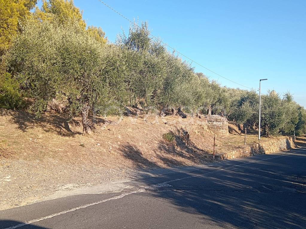 immagine annuncio 5 di 9