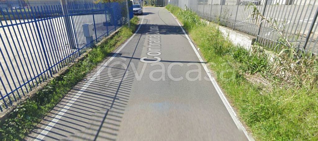 immagine annuncio 6 di 11