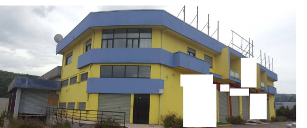 immagine annuncio 9 di 11