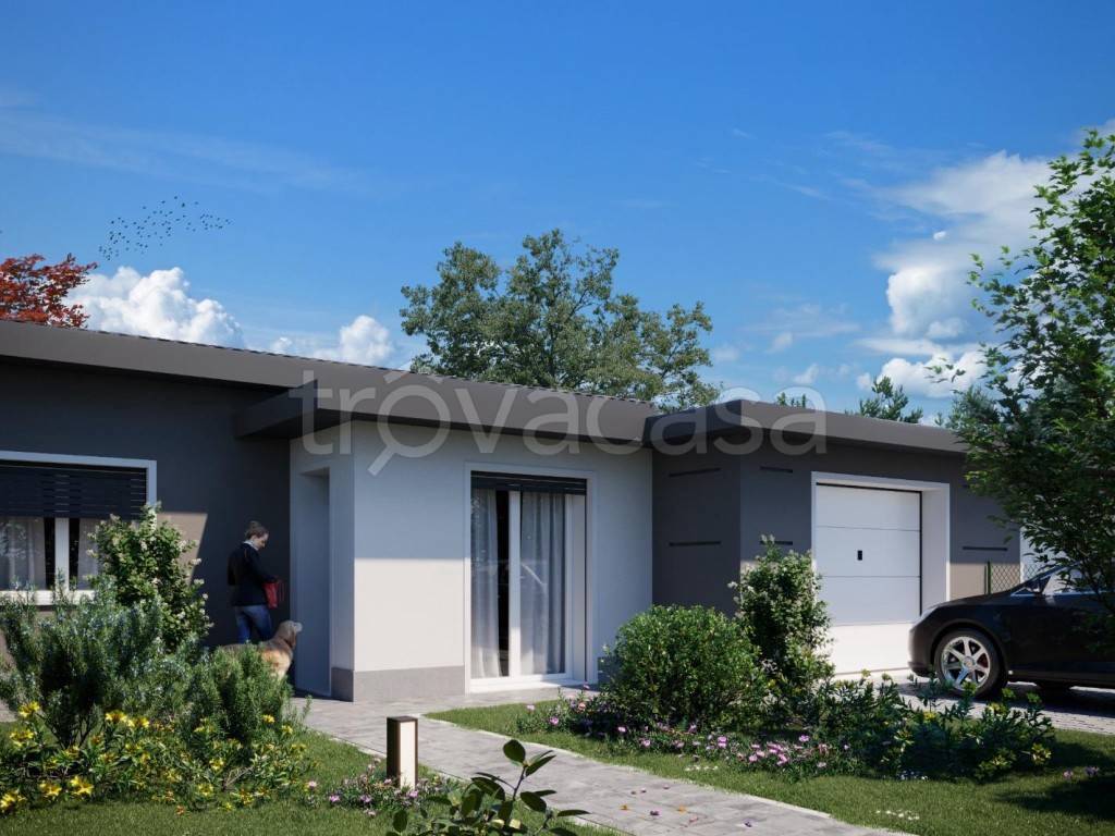 immagine annuncio 10 di 12