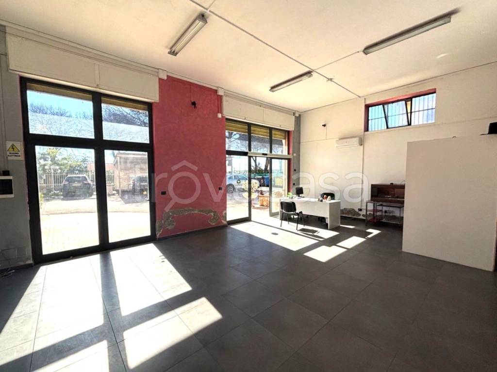 immagine annuncio 8 di 15