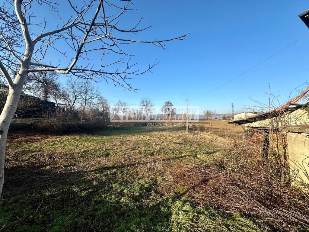 immagine annuncio 2 di 7