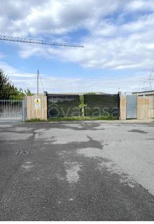 immagine annuncio 2 di 12