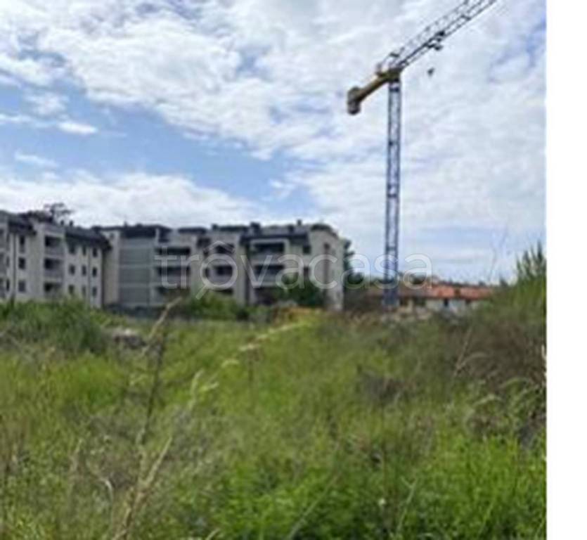 immagine annuncio 5 di 12