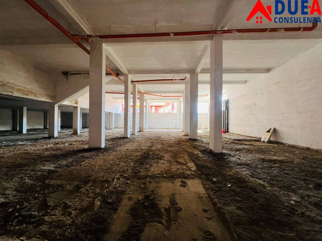 immagine annuncio 6 di 11