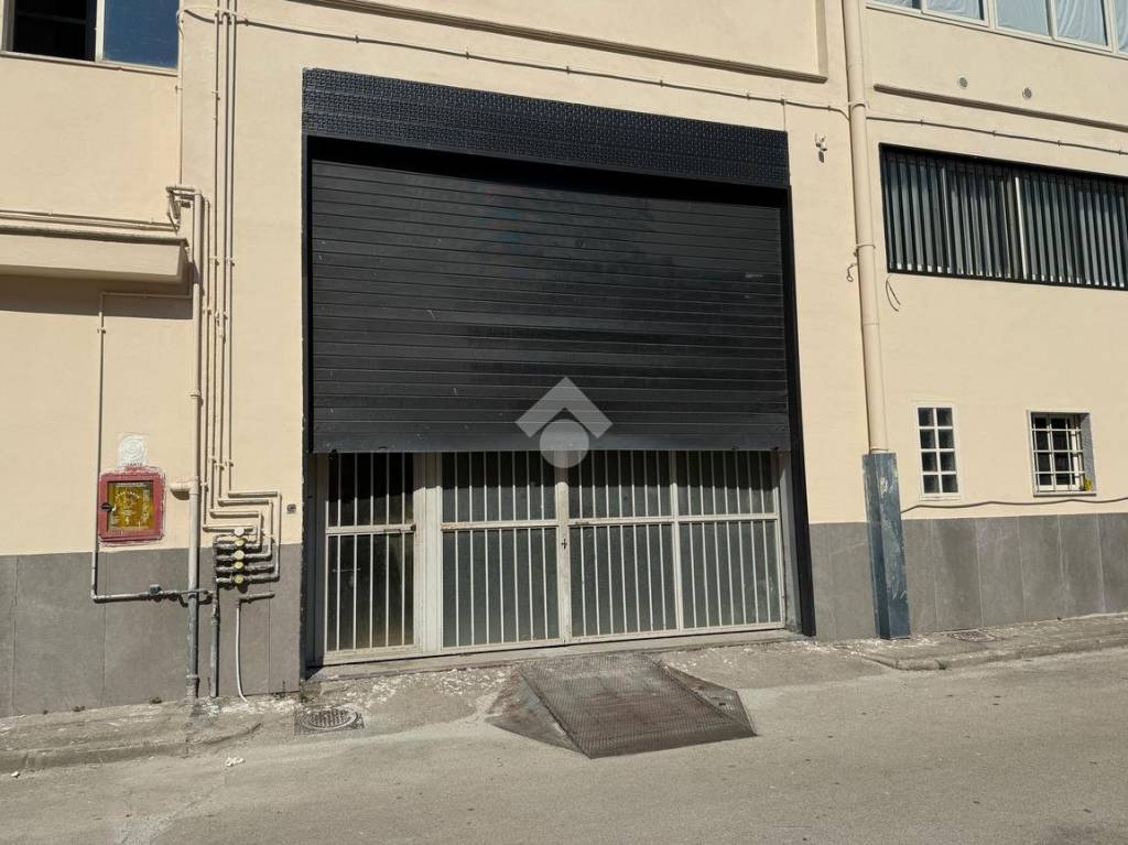 immagine annuncio 2 di 12