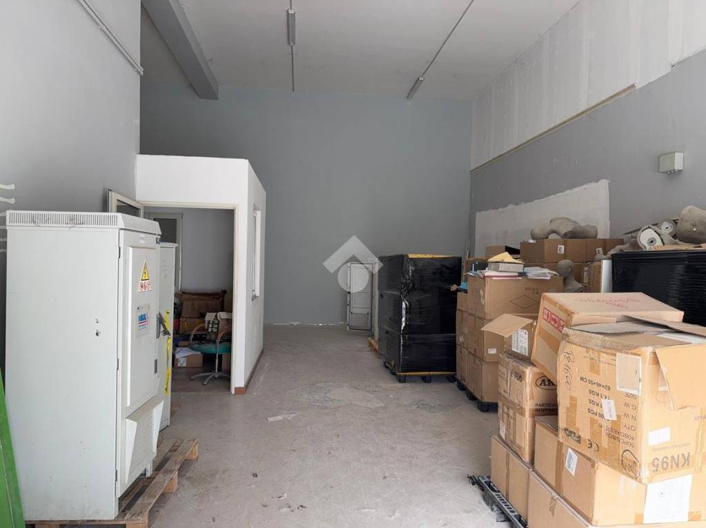 immagine annuncio 4 di 12