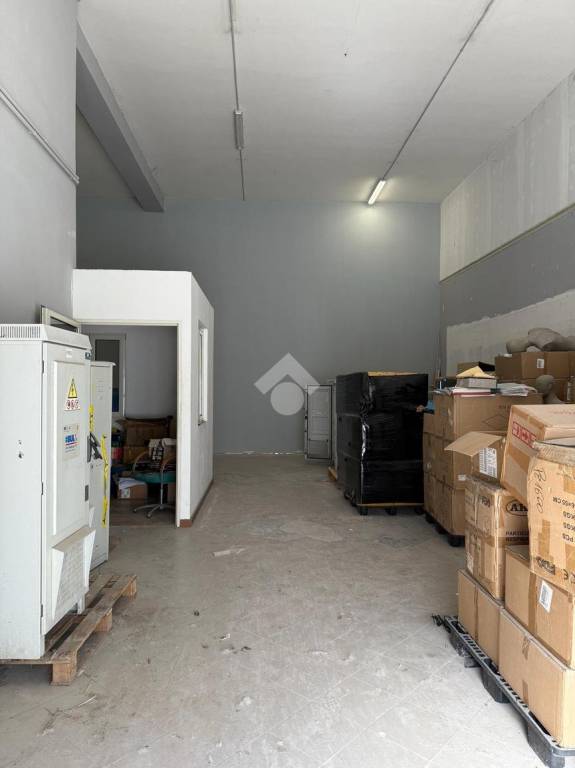 immagine annuncio 7 di 12