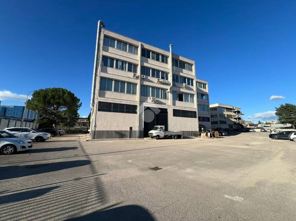 immagine annuncio 11 di 12