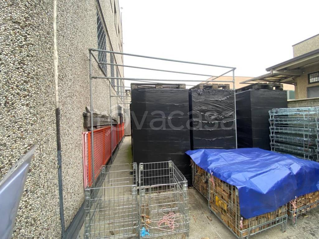 immagine annuncio 5 di 15