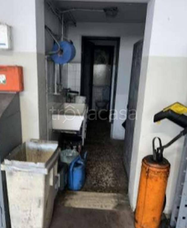 immagine annuncio 3 di 13