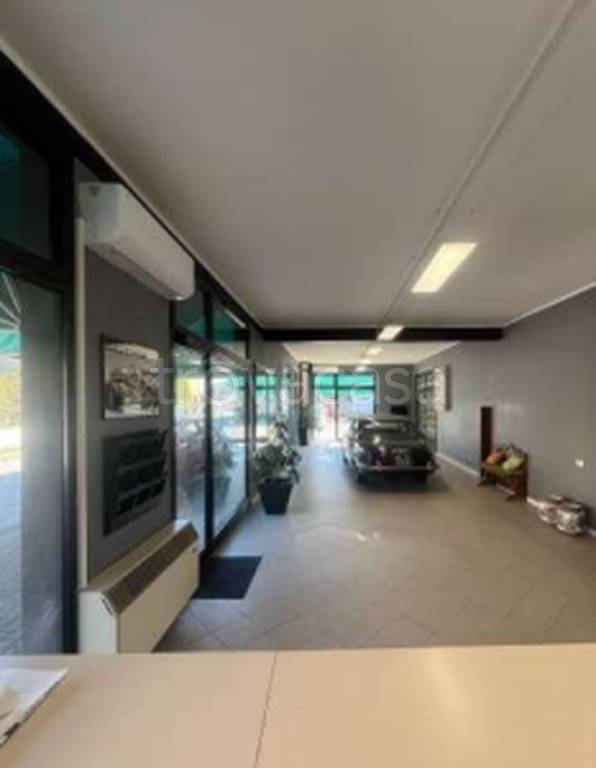 immagine annuncio 6 di 13