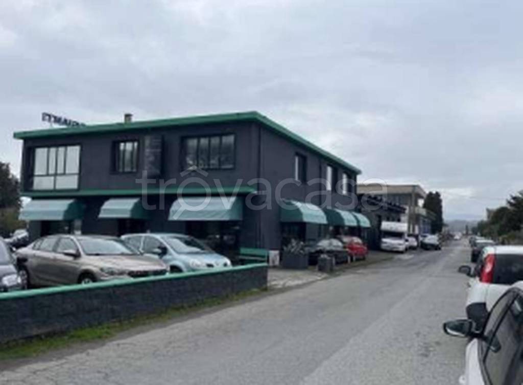 immagine annuncio 7 di 13