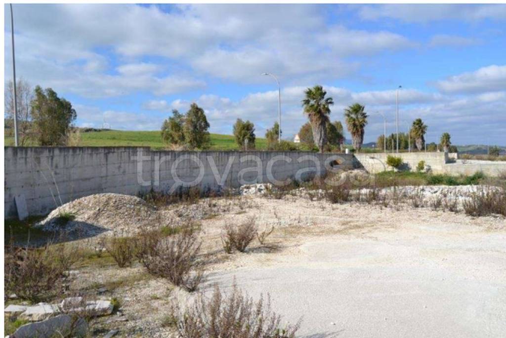 immagine annuncio 8 di 11