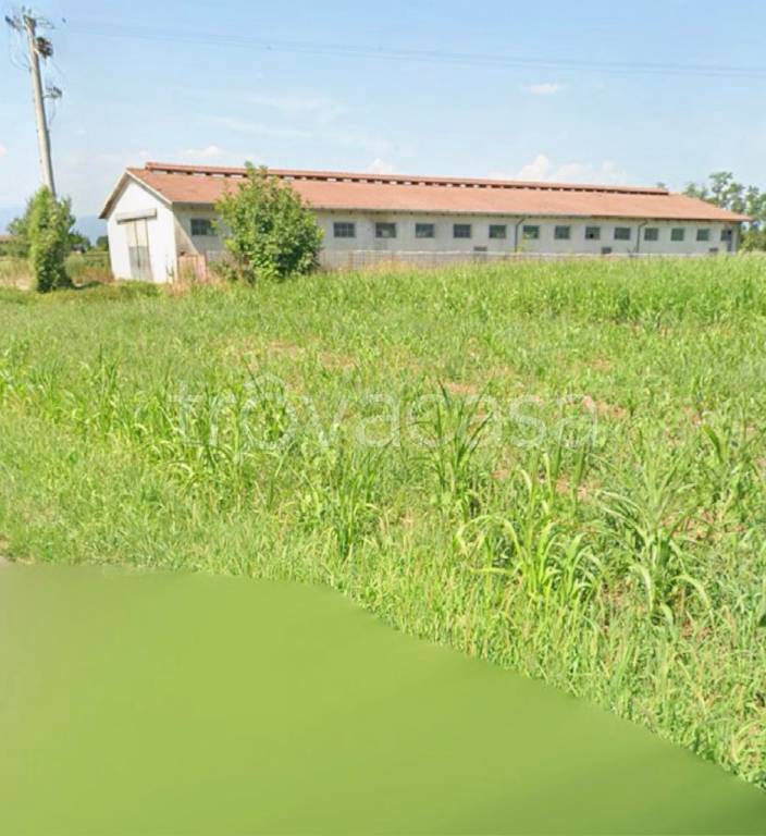 immagine annuncio 2 di 4