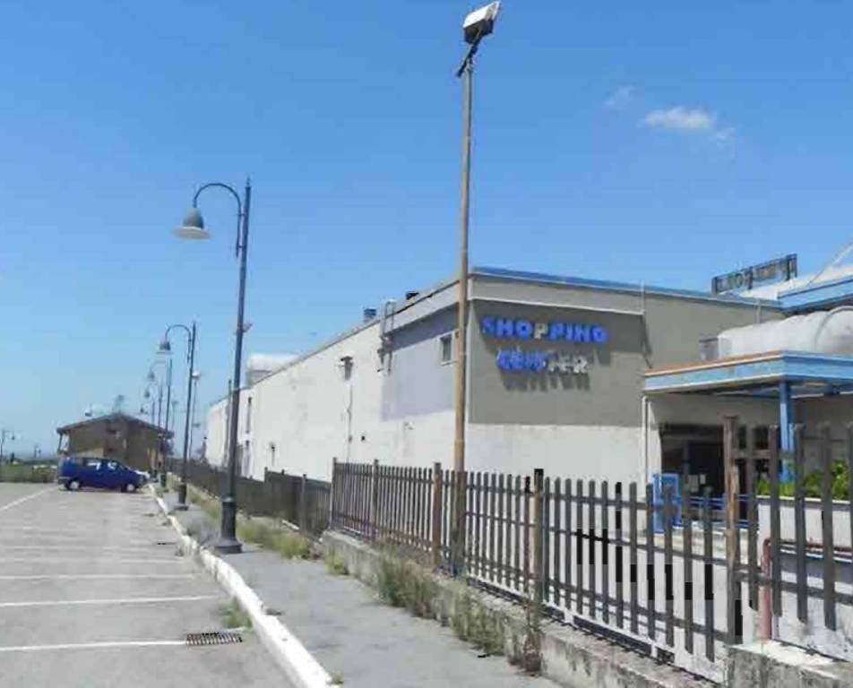 immagine annuncio 3 di 14