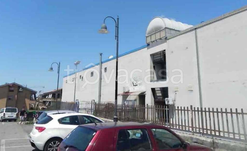 immagine annuncio 4 di 14