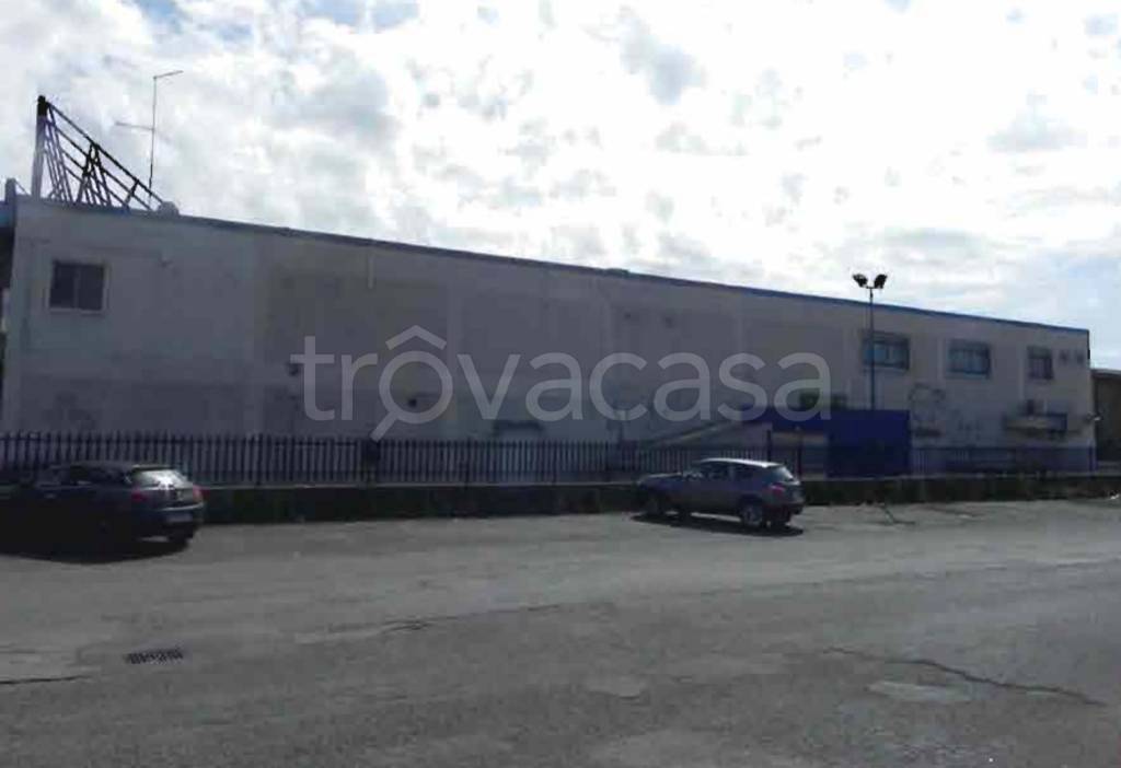 immagine annuncio 11 di 14