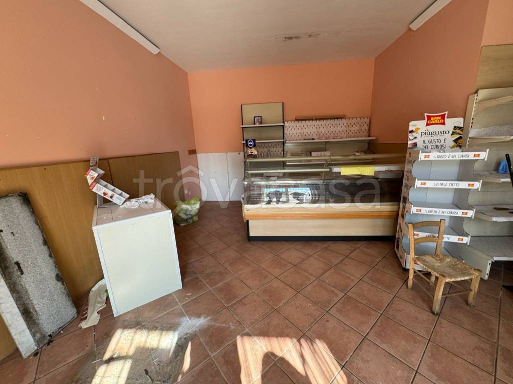 immagine annuncio 3 di 8