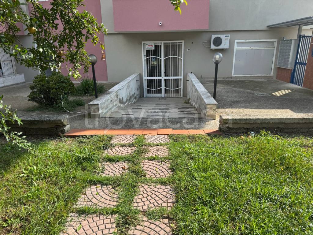 immagine annuncio 7 di 8