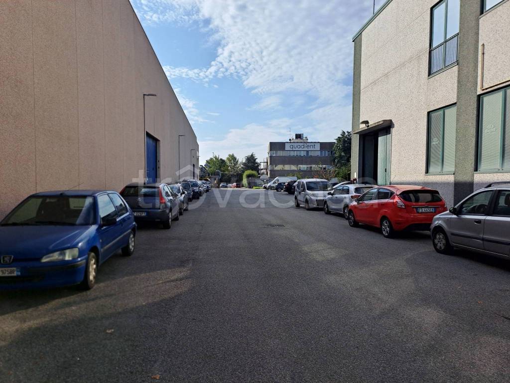 immagine annuncio 11 di 15