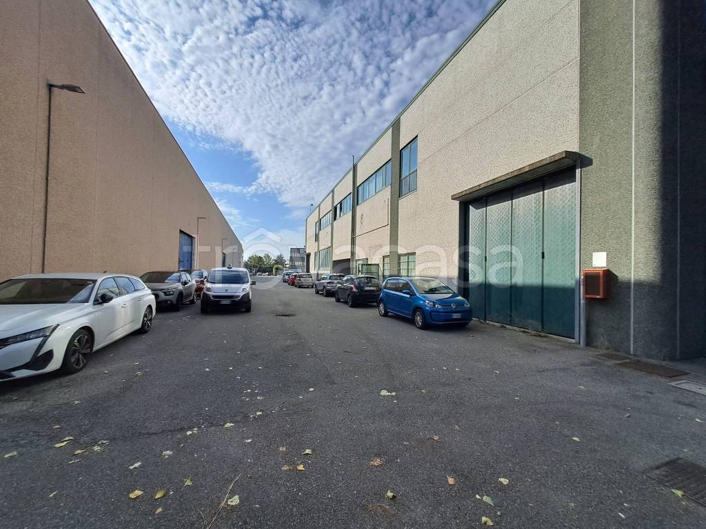 immagine annuncio 13 di 15