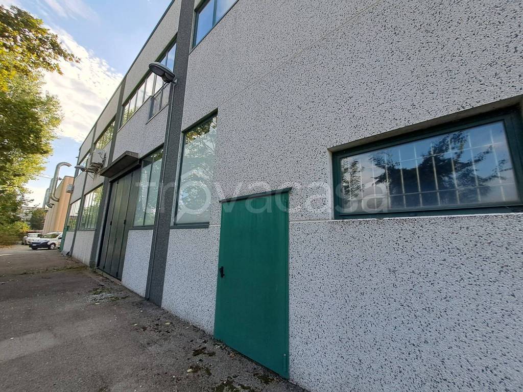 immagine annuncio 1 di 15