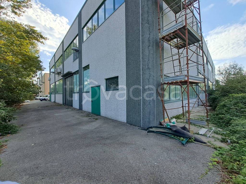 immagine annuncio 5 di 15