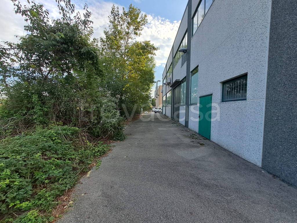 immagine annuncio 6 di 15