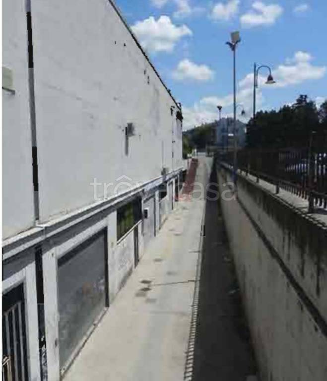 immagine annuncio 5 di 14